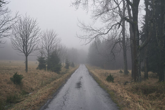 Misty rural road in Brdy