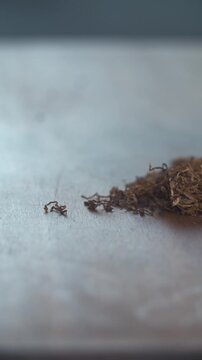 Primer plano vertical de tabaco suelto picado sobre mesa de madera r&uacute;stica con fondo desenfocado y luz natural.
