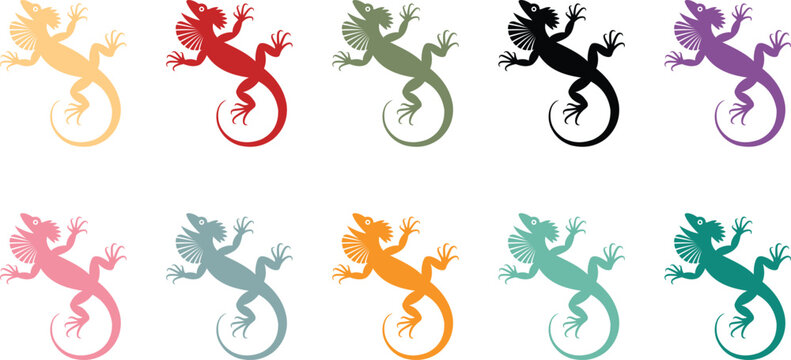Colorful Frilled Lizard Silhouette Collection White Background, Tropical Frilled Lizard Silhouette Set Animal Design