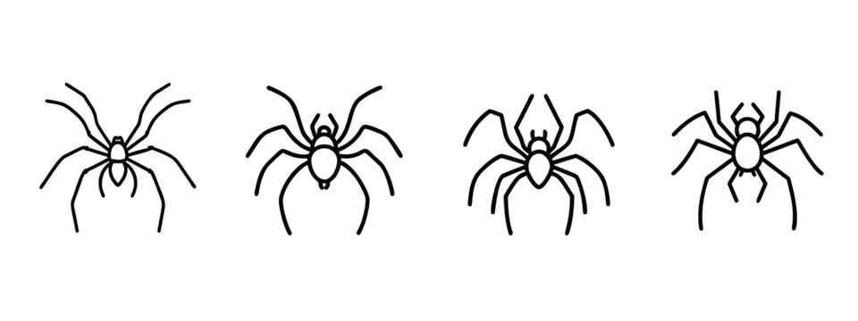 Halloween spider insect web line icons set spooky crawling spider scary arachnid bug creepy Halloween tarantula mysterious predator insect  vector with editable stroke