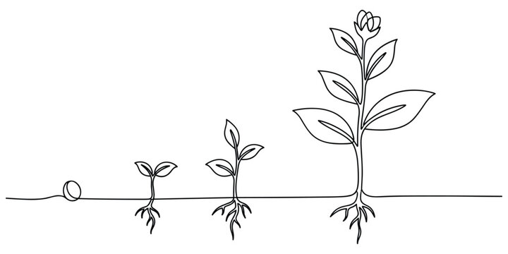 Continuous line drawing shows plant growth stages from seed to mature plant, symbolizing development.