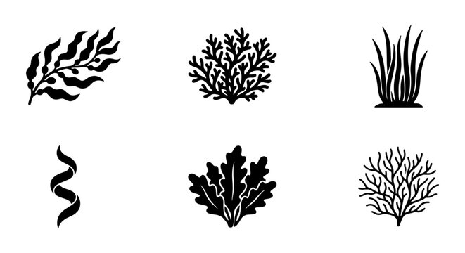 Marine Algae Vector Icons, Seaweed Plant Silhouettes, Underwater Flora Graphics, Ocean Botanical Elements, Black and White Nature Symbols