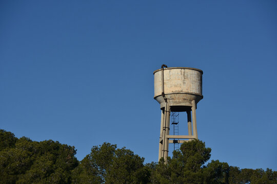 Vertical view of concrete water tank above tree line