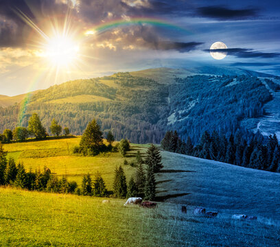 mountainous countryside landscape in summer. day meet night. sun and moon over view of green rural scenery with grassy pastures and rolling forested hills. wonderful mountain weather with cloudy sky