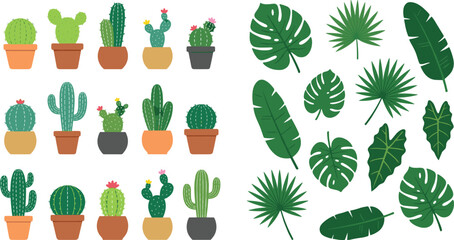 Tropical leaves and cactus vector set featuring monstera palm fronds and various potted cacti icons for houseplant shop branding and summer botanical garden design concepts. © MD