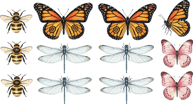 Vintage watercolor insect vector collection featuring monarch butterflies pink butterflies honey bees and dragonflies with detailed wings for nature journals wedding invitations and botanical garden d