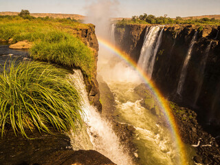 Fototapeta premium Pristine Wilderness and Plunging Waters of Victoria Falls