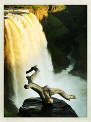 Fototapeta premium Pristine Wilderness and Plunging Waters of Victoria Falls