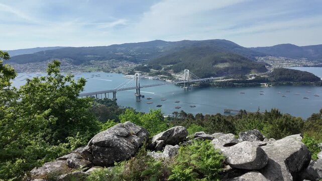 Rande bridge crossing ria de vigo with mussel farms from a viewpoint