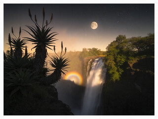 Fototapeta premium Pristine Wilderness and Plunging Waters of Victoria Falls