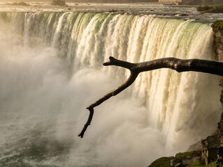 Fototapeta premium Pristine Wilderness and Plunging Waters of Victoria Falls