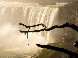 Fototapeta premium Pristine Wilderness and Plunging Waters of Victoria Falls