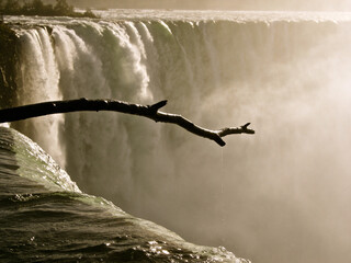 Fototapeta premium Pristine Wilderness and Plunging Waters of Victoria Falls