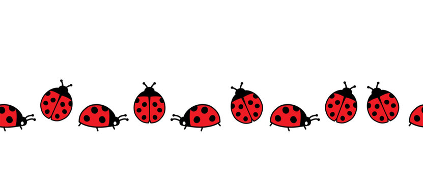 Ladybug hand drawn seamless border. Doodle style vector illustration