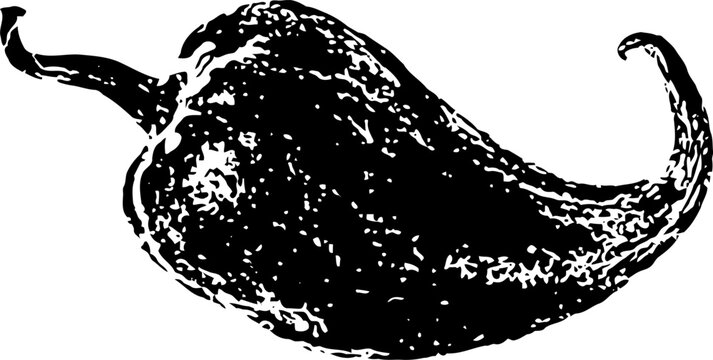 Dried chili pepper illustration curved spicy vegetable with textured surface and stem black and white vintage drawing