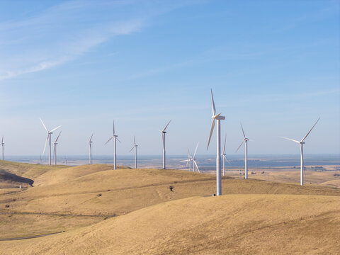 Wind turbines stand tall on golden hills at Altamont Pass, capturing natural wind resources to generate sustainable electricity and promoting environmental conservation under a clear blue sky