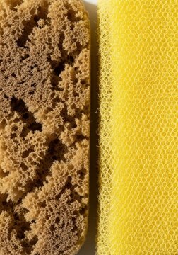 Macro Texture Comparison of Natural Brown Sponge and Synthetic Yellow Scouring Pad for Cle