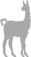 Fototapeta premium Llama and alpaca icon in flat vector style. Collection of cute camelid animal illustrations with standing poses and detailed head designs isolated.