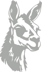 Fototapeta premium Llama and alpaca icon in flat vector style. Collection of cute camelid animal illustrations with standing poses and detailed head designs isolated.