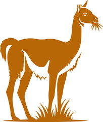 Fototapeta premium Llama and alpaca icon in flat vector style. Collection of cute camelid animal illustrations with standing poses and detailed head designs isolated.