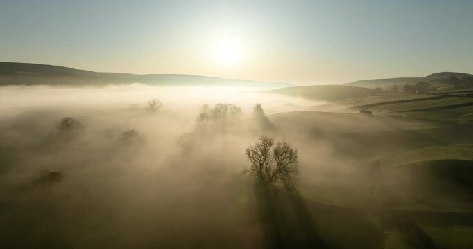 Trees in a fog covered valley
