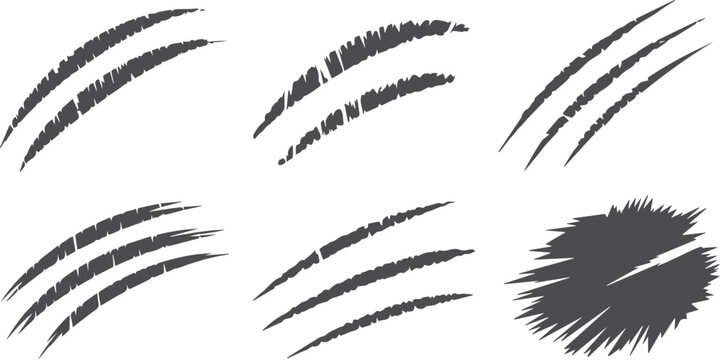 Hand drawn vector illustration set of black beauty eye icons and makeup eyelash symbols featuring nature elements like flower leaf and tree patterns for art decoration design