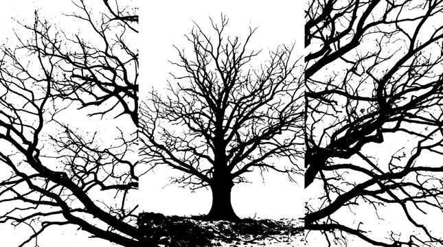 Tree branch silhouette sketch with leafless limbs, winter landscape mood, high-contrast vector style for nature and background design