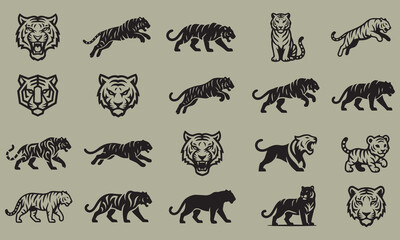 Fototapeta premium Set of Tiger Silhouette Icons in Various Poses