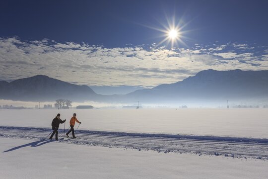 Cross-country skier, woman and man, adult, on cross-country trail in front of mountains, snow, winter, sunny, Schlehdorf, view of Jochberg and Herzogstand, Alpine foothills, Upper Bavaria, Bavaria, Germany