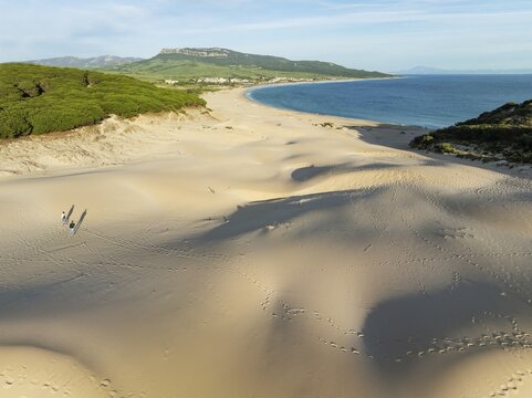 The famous dune of Bolonia at the sandy coastline of the Atlantic Ocean and framed by forests of Stone pines (Pinus pinea) . Aerial view. Drone shot. C&aacute;diz province, Andalusia, Spain
