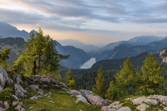 Mountain panorama, view over the K&ouml;nigssee from the Feldkogel, on the left Watzmann S&uuml;dspitze and Watzmann-Kinder, on the right Funtenseetauern, sunset, Berchtesgaden National Park, Berchtesgaden area, Upper Bavaria, Bavaria, Germany