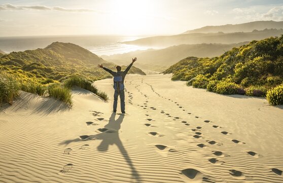 Young man stretching his arms in the air, yellow lupins (Lupinus luteus) on sand dunes, view of coast, Sandfly Bay, Dunedin, Otago, Otago Peninsula, South Island, New Zealand