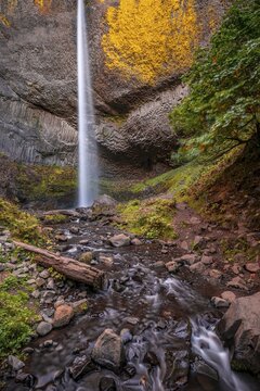 Waterfall in front of basalt rock, Latourell Falls, time exposure, Oregon, USA