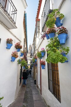 Calle de las Flores, alley decorated with flowers, in the back church tower of the Mezquita-Catedral de C&oacute;rdoba or Cathedral of the Conception of Our Lady, C&oacute;rdoba, province Cordoba, Andalusia, Spain