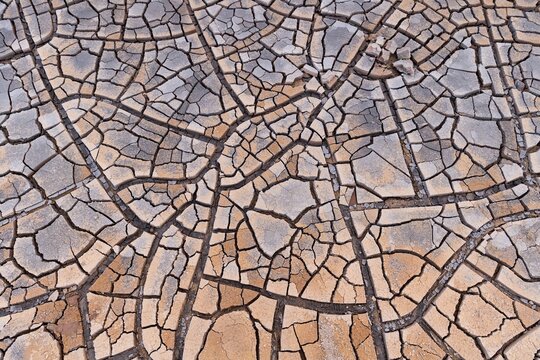 Cracks in clay soil form mosaic-like structure, geothermal field, N&aacute;mafjall, M&yacute;vatn, Krafla volcanic system, Iceland