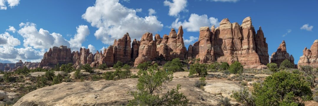 Rock needles, rock formations at Cheslar Park, The Needles District, Canyonlands National Park, Utah, USA