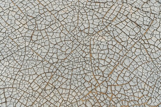 Cracks in the clay soil form mosaic-like structure, geothermal field, N&aacute;mafjall, M&yacute;vatn, Krafla volcanic system, Northern Iceland, Iceland