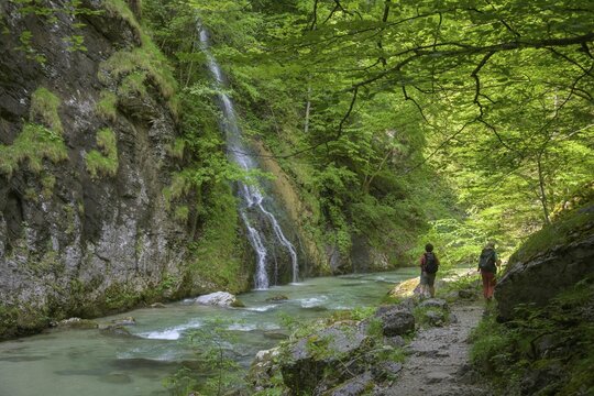 Small waterfall falls into the Erlauf, Torm&auml;uer hike, Puchenstuben, Lower Austria, Austria