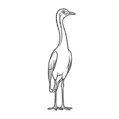 Fototapeta premium Black and white line of a heron isolated on a transparent background
