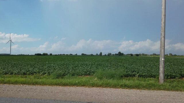 The view out of the drivers side window of a vehicle driving on a rural country highway soon on a sunny summer day. Farmland and telephone poles with green electricity generating wind turbines.