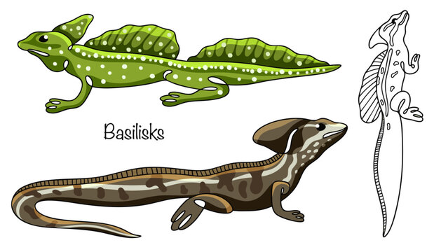 Basilisks