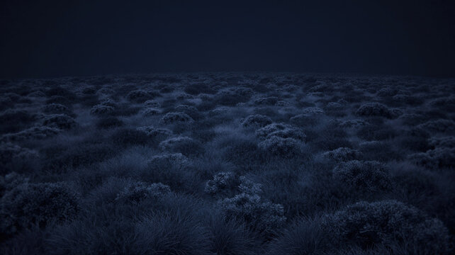 Dark mystical forest landscape with foggy trees at night