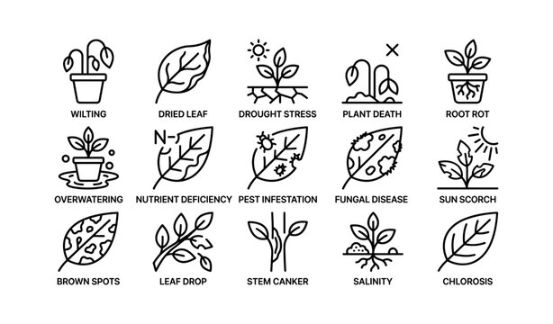 Plant symptom icons shown in grid on white background