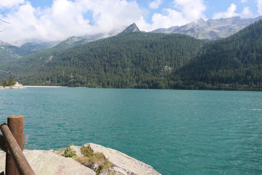 Whispers of the Wild Mountains