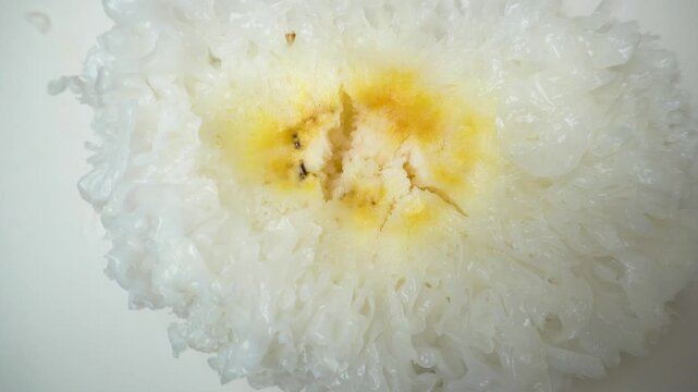 Close-up of Tremella fuciformis with stem. White gelatinous fungus features short stem at base, intricate branching lobes above, translucent clusters on natural substrate. Edible Tremella species.