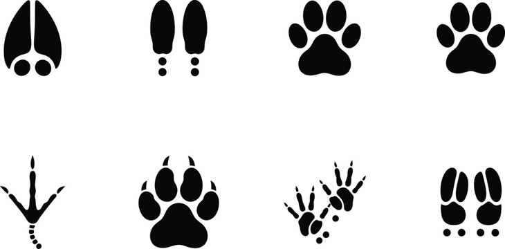 Black animal footprints and paw prints vector illustration set Vector