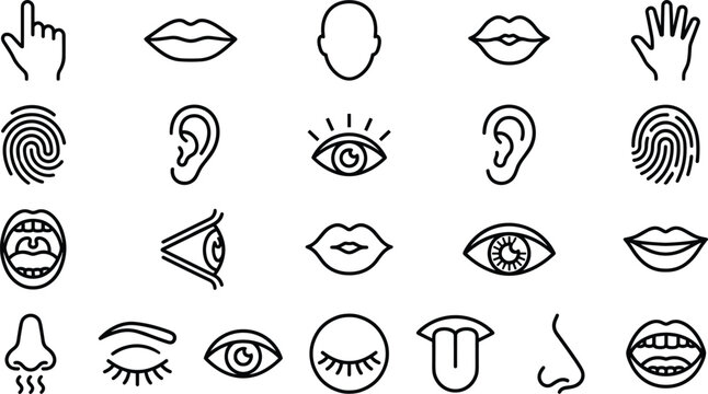 Set of human body parts and five senses line icons including eyes ears nose mouth hand and fingerprint for medical or educational design