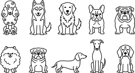 Dog breed line art vector icons set featuring poodle husky golden retriever french bulldog pug dachshund and beagle for pet shop branding and veterinary logo design. © MD