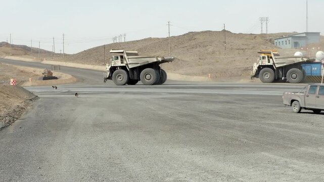 Giant haul trucks and a pickup truck moving along a dusty road in a large open pit mine
