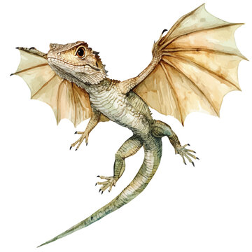 Draco Lizard Flying Dragon, watercolor drawing vector , isolated on a white background.